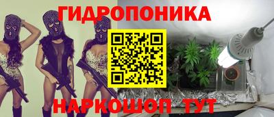 шишки Нарткала