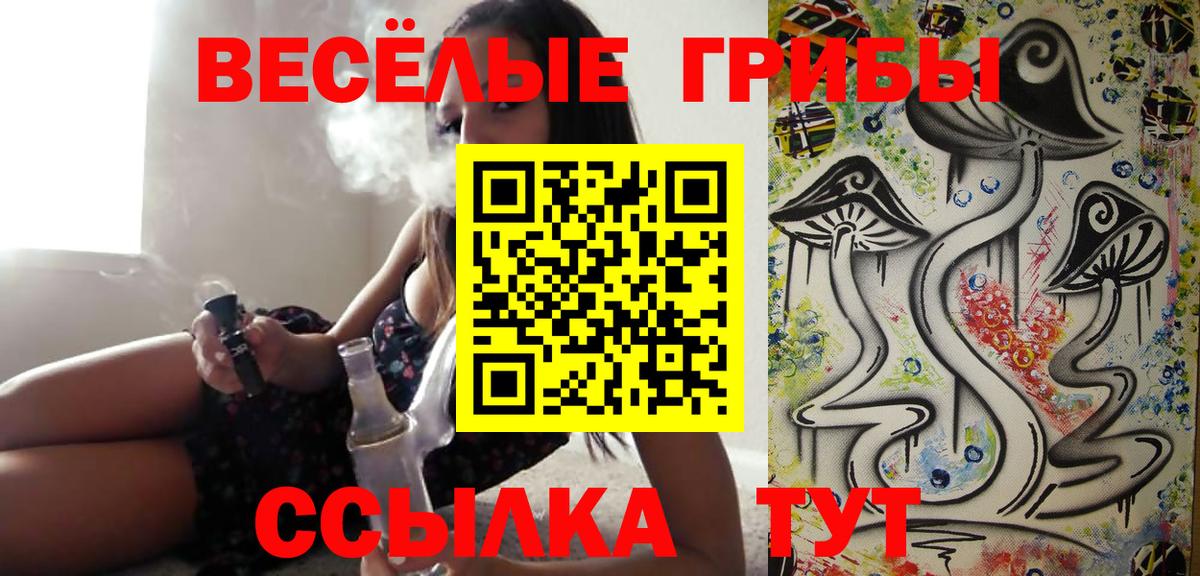 Галлюциногенные грибы мухоморы Сосновый Бор