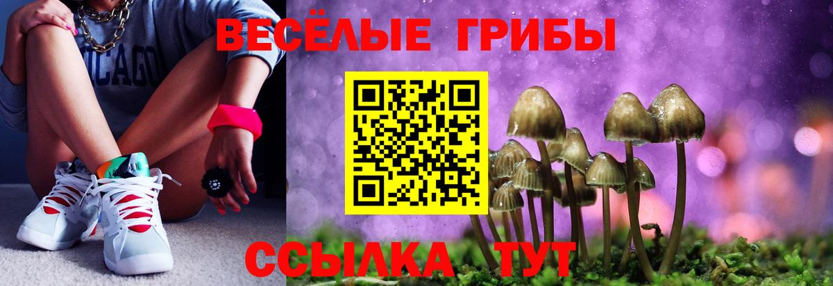 Сосновый Бор  Псилоцибиновые грибы GOLDEN TEACHER  хочу наркоту  Вход с VPN 